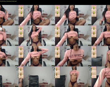 catta_cat18