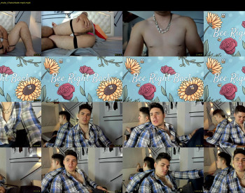 deibyd_