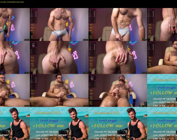hot_bear_
