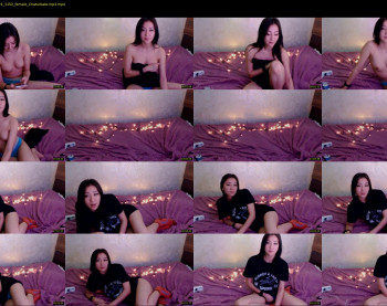 meowed_dance