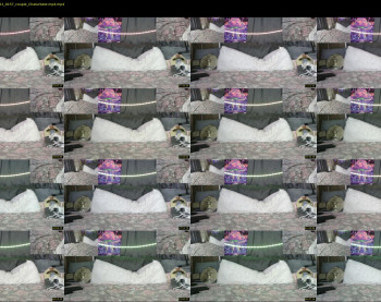 shannahand420