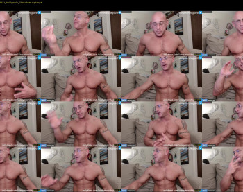 vinnymarchegiano