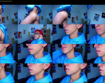 ash_v