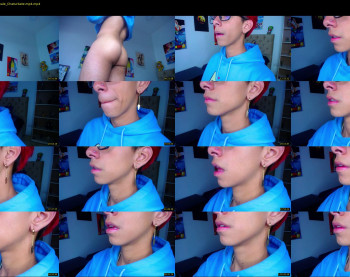 ash_v