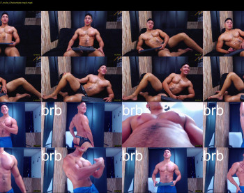 dixon_ray