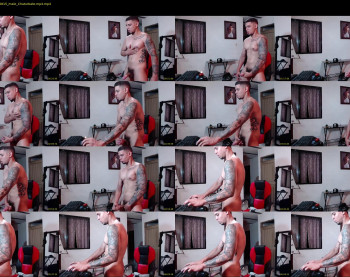 stephalverto