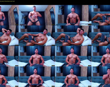 dixon_ray