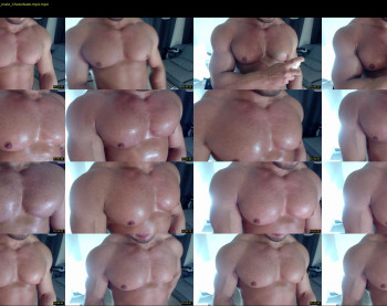 flex_x_x