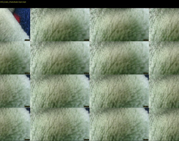 jayshiesty23