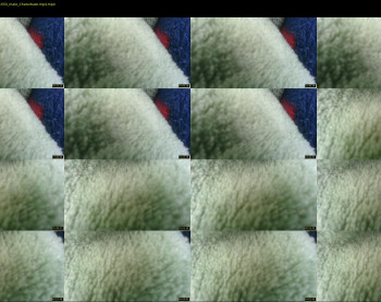jayshiesty23
