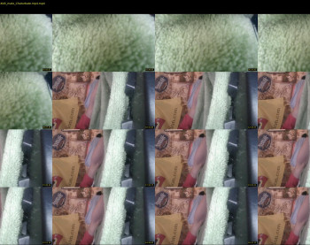 jayshiesty23