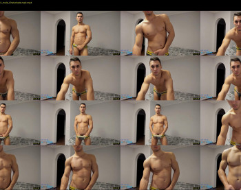 vincent_o