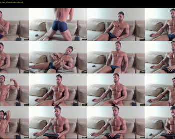 _adam19