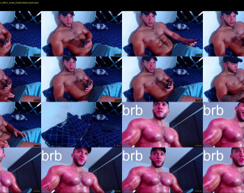 andrew_holden