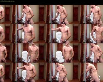 harry_hawk