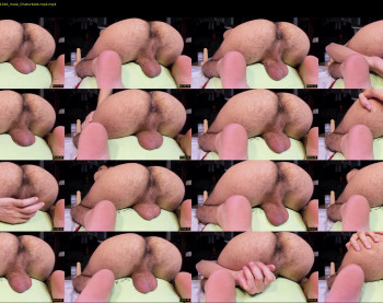bachabazi22