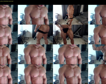 flex_x_x