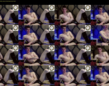 willardgram