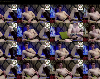 willardgram