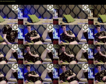 willardgram
