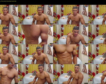 teddy_fit19cm