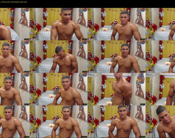 teddy_fit19cm