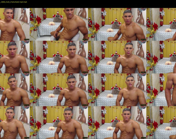 teddy_fit19cm