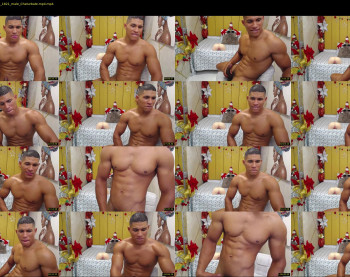 teddy_fit19cm