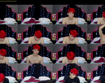minato_kabuki