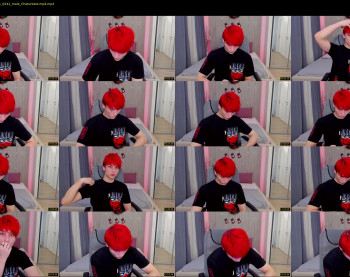 minato_kabuki
