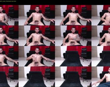 stephalverto