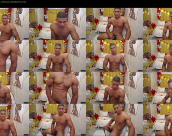 teddy_fit19cm