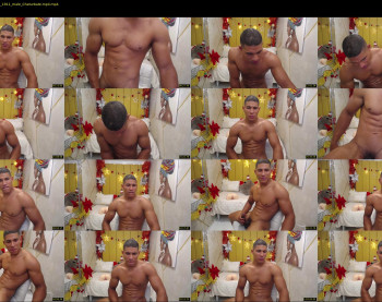 teddy_fit19cm