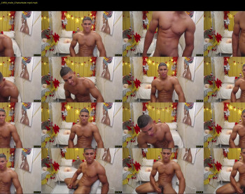 teddy_fit19cm