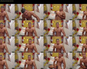 teddy_fit19cm