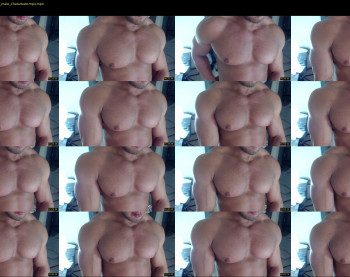 flex_x_x