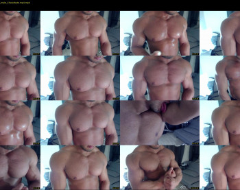 flex_x_x