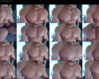 flex_x_x