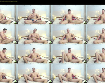 stivenhot_horney
