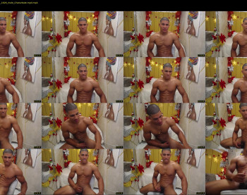 teddy_fit19cm