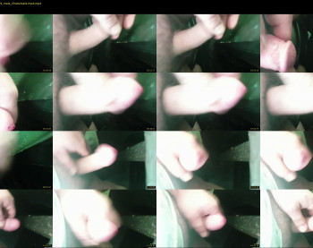 bearxx38