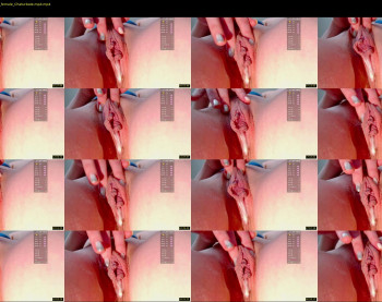 _lessie_