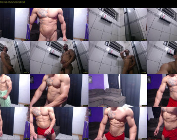 bestmuscle