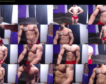 bestmuscle