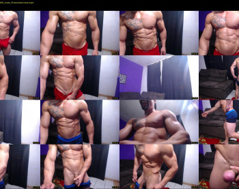 bestmuscle