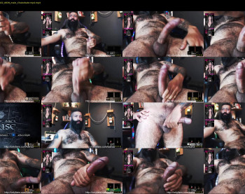 boris_the_animal