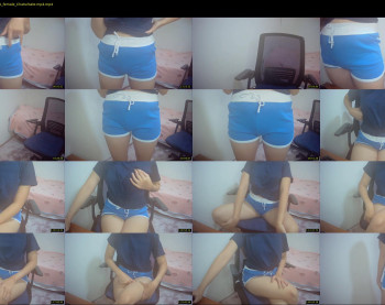 kitty_kity