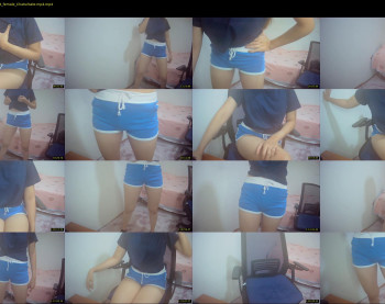 kitty_kity