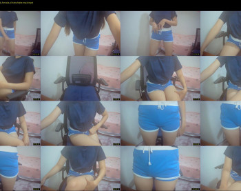 kitty_kity