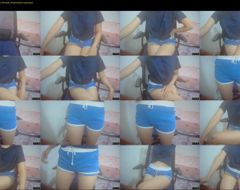 kitty_kity
